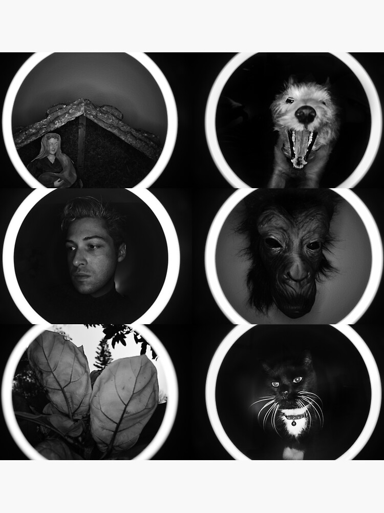 "Reptile House Collage" Sticker by ReptileHouse Redbubble