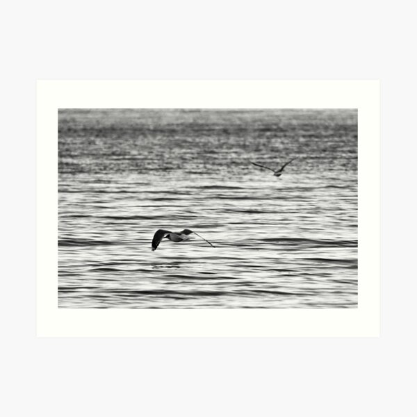 On the Wing II Art Print