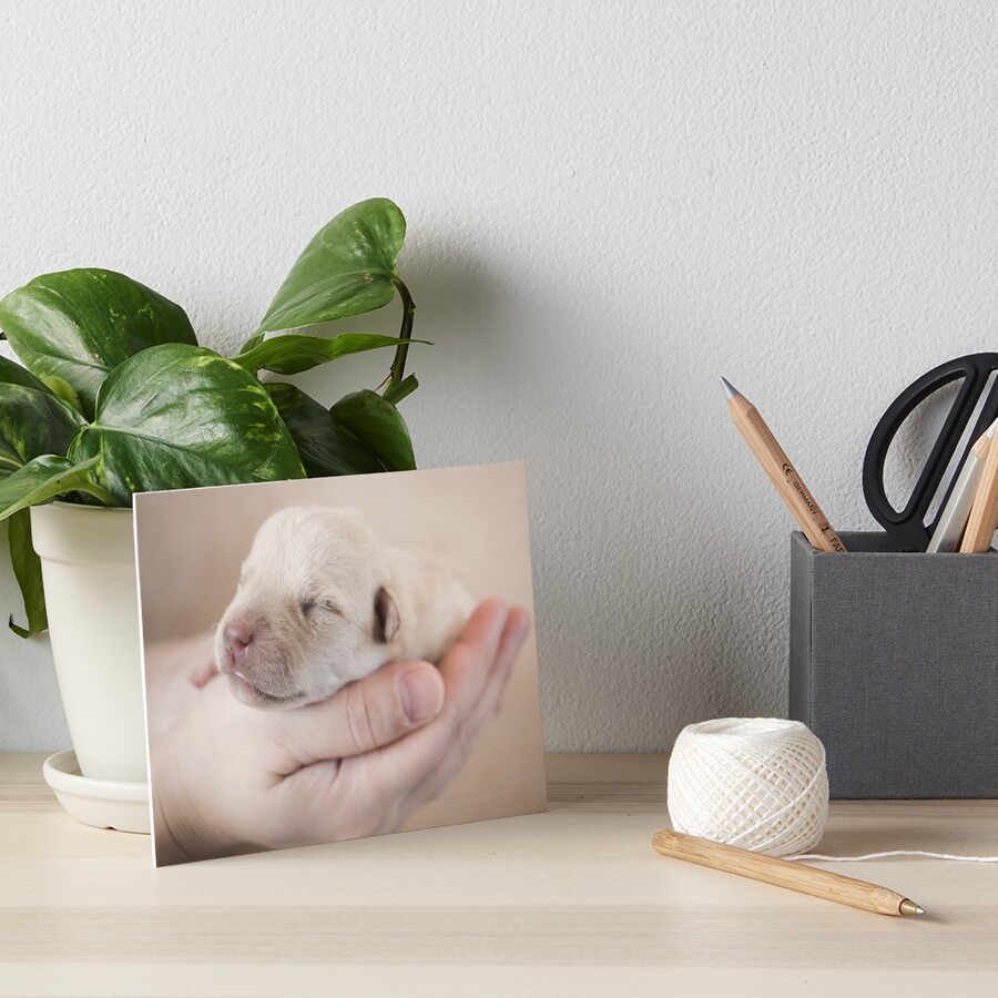 Item preview, Art Board Print designed and sold by mords.