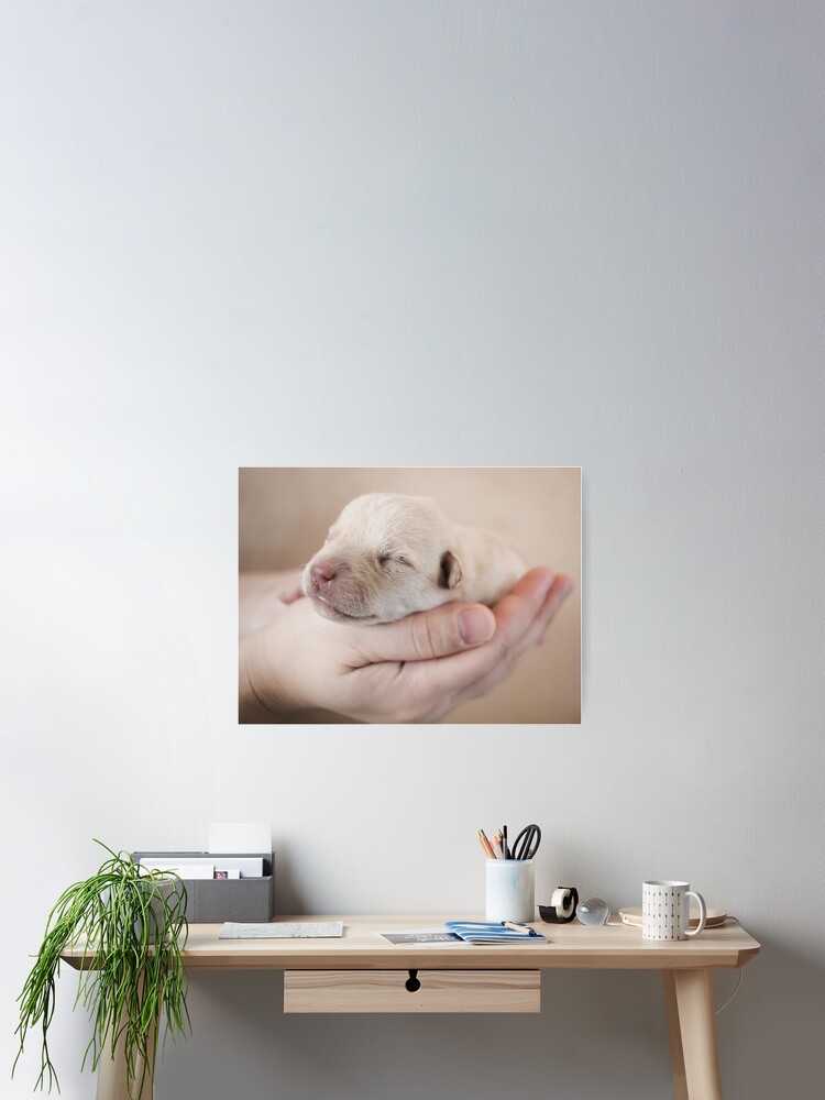 Thumbnail 2 of 3, Poster, Untitled designed and sold by mords.