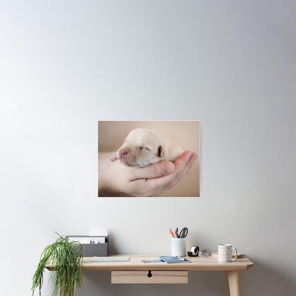 Item preview, Poster designed and sold by mords.