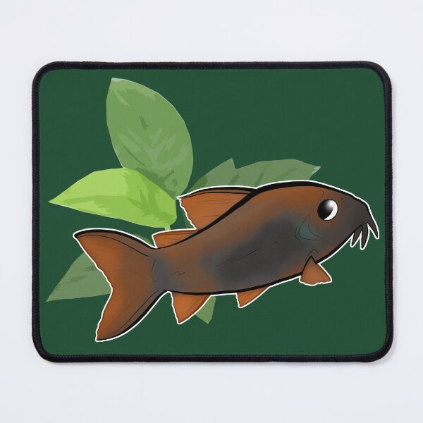 Item preview, CORY CATFISH: Corydoras schultzei (Black Venezuela) designed and sold by thehappydog.
