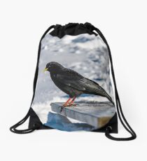 Beautiful alpine chough on white snow bachkgound in high mountains, Switzerland Drawstring Bag