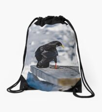 Beautiful alpine chough on white snow bachkgound in high mountains, Switzerland Drawstring Bag