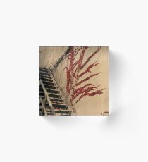 spooky stairway Acrylic Block