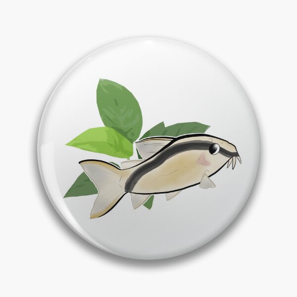 Item preview, CORY CATFISH: Corydoras arcuatus (Skunk) designed and sold by thehappydog.