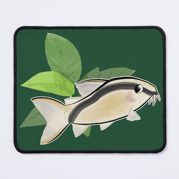 Item preview, CORY CATFISH: Corydoras arcuatus (Skunk) designed and sold by thehappydog.