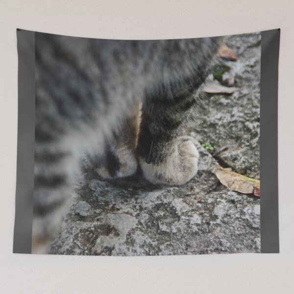 Item preview, Paws designed and sold by Bluesrose.