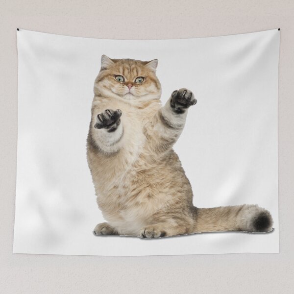 Item preview, British cat designed and sold by KseniaDr.