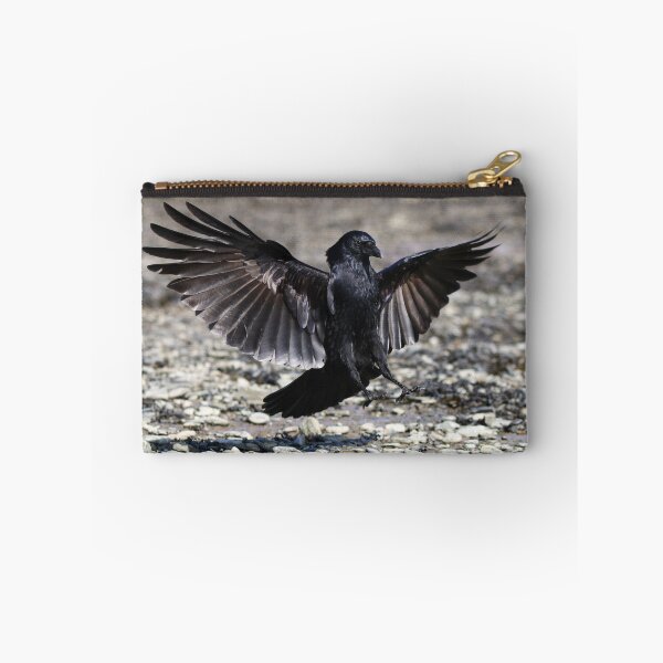 Item preview, Crow landing designed and sold by GreyFeatherPhot.