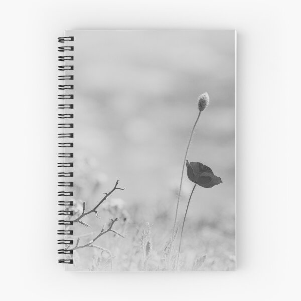 Item preview, Black poppy designed and sold by Kostas Kalomiris.