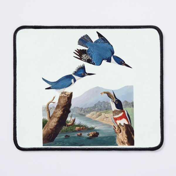 Item preview, Belted Kingfisher  designed and sold by FeatheredClub.