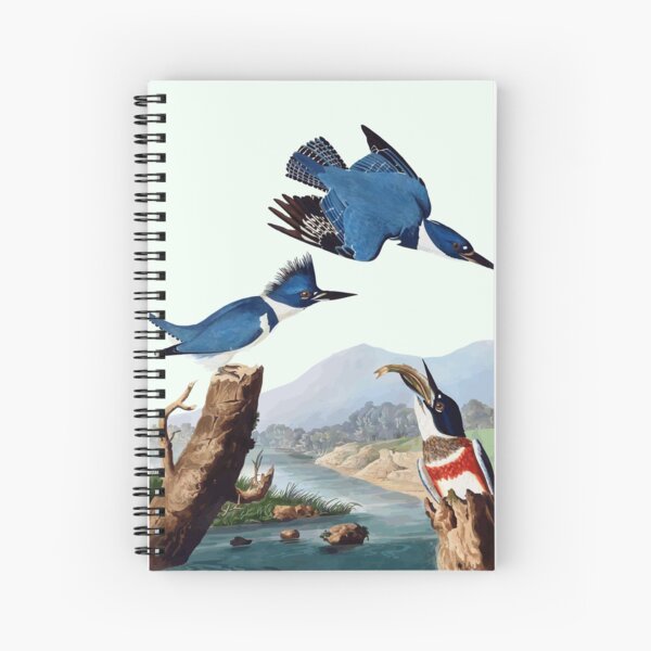 Item preview, Belted Kingfisher  designed and sold by FeatheredClub.