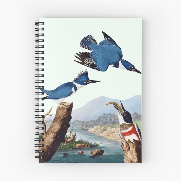 Item preview, Belted Kingfisher  designed and sold by FeatheredClub.