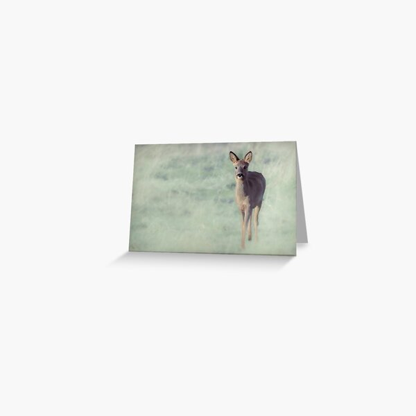 Artikel-Vorschau von Junger Muntjac-Hirsch, designt und verkauft von Richard Howell Photography.