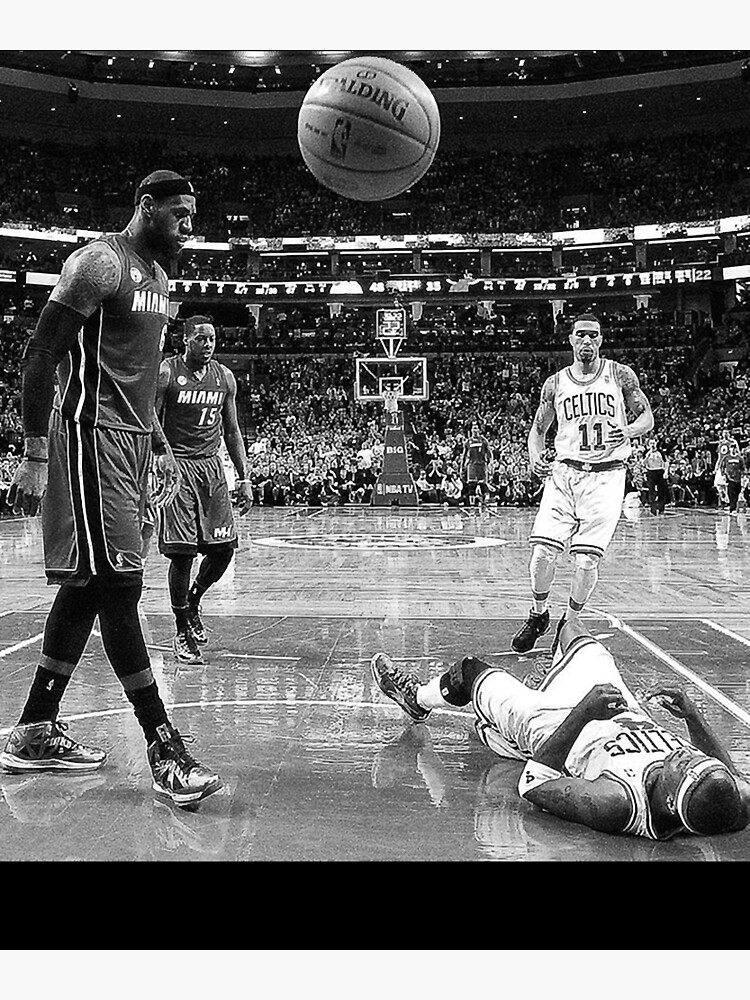 lebron dunking on terry