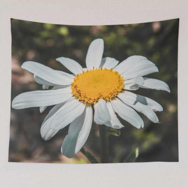 Item preview, Daisy and ants designed and sold by KinLost.