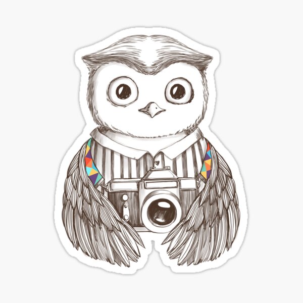 Drawing Owl with Camera Sticker