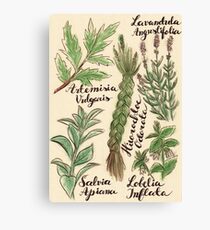 Magical Herbs Canvas Print