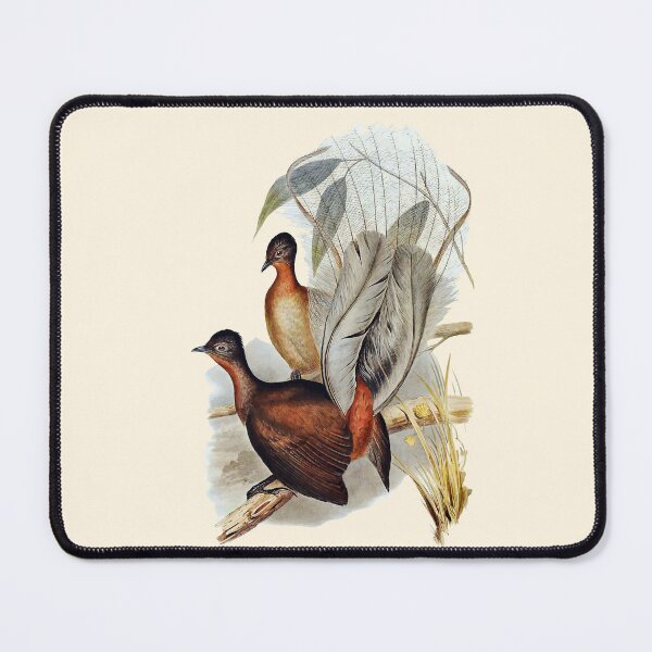 Item preview,  lyrebird  designed and sold by FeatheredClub.