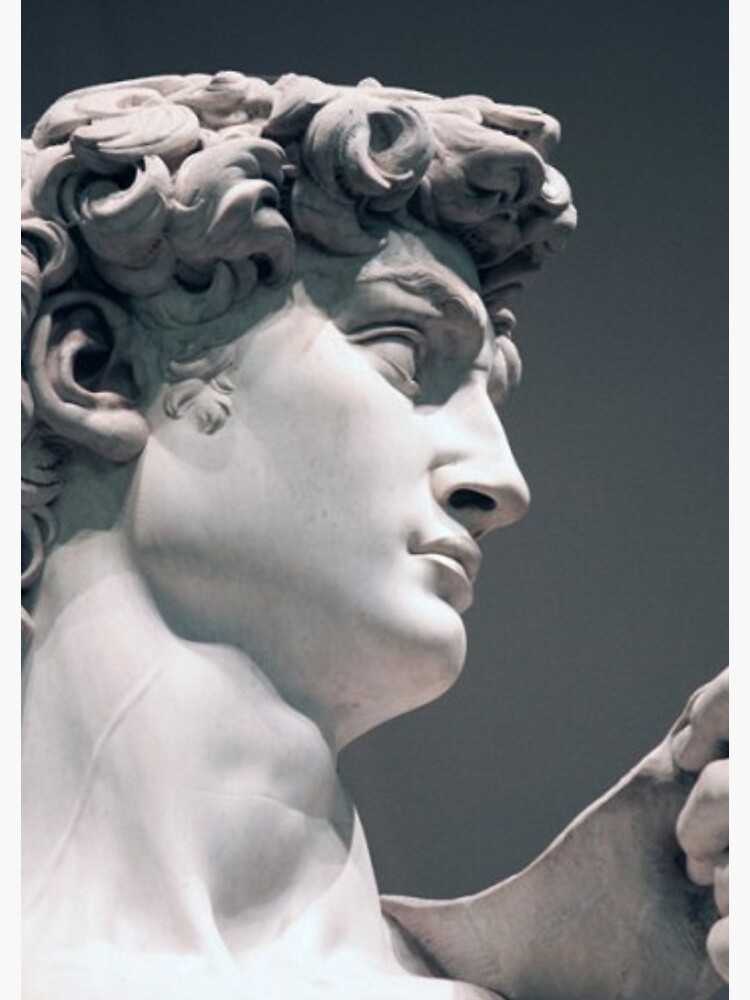 Michelangelo david essay 08 picture