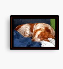 Remenising Canvas Print