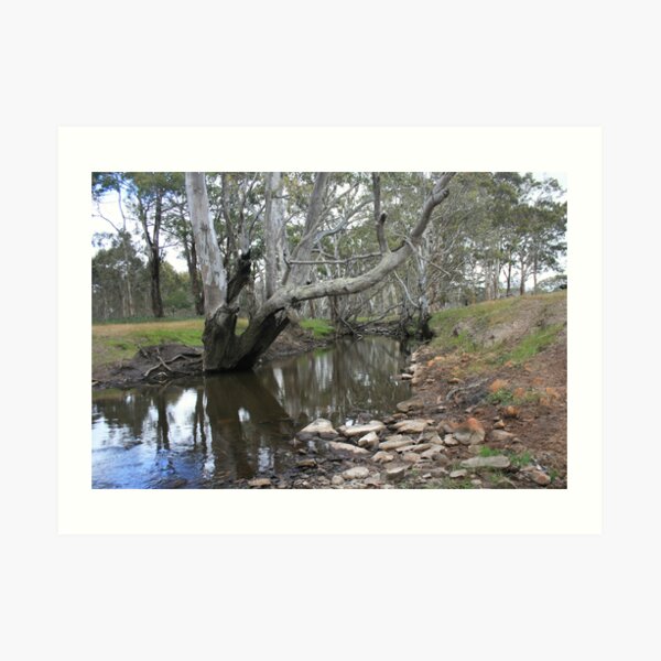 River Reflections II Art Print