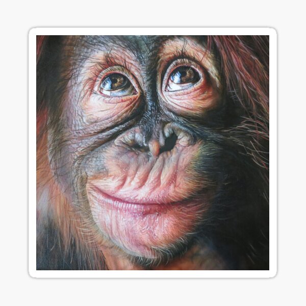 Item preview, Orangutan designed and sold by Sharon  Read.