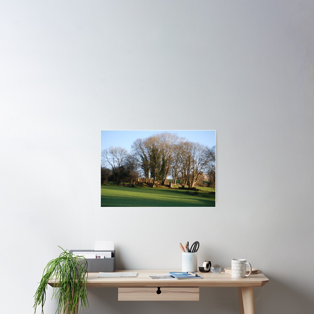 Item preview, Poster designed and sold by TIMKIELY.