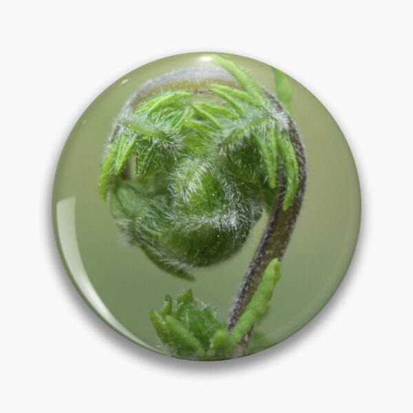 Item preview, Wild Fern  designed and sold by Tonia Delozier's Photography .