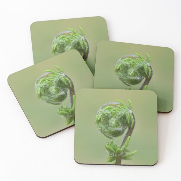 Item preview, Wild Fern  designed and sold by Tonia Delozier's Photography .