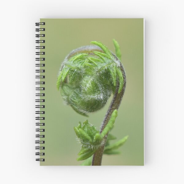 Item preview, Wild Fern  designed and sold by Tonia Delozier's Photography .