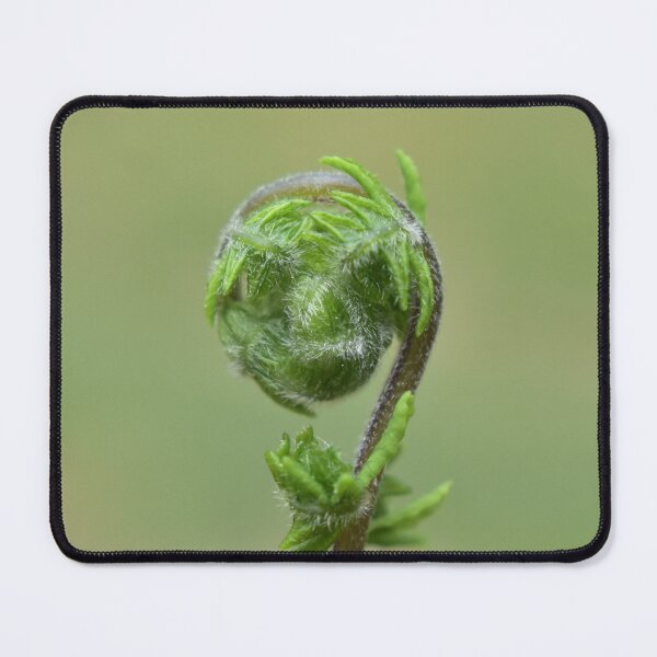 Item preview, Wild Fern  designed and sold by Tonia Delozier's Photography .