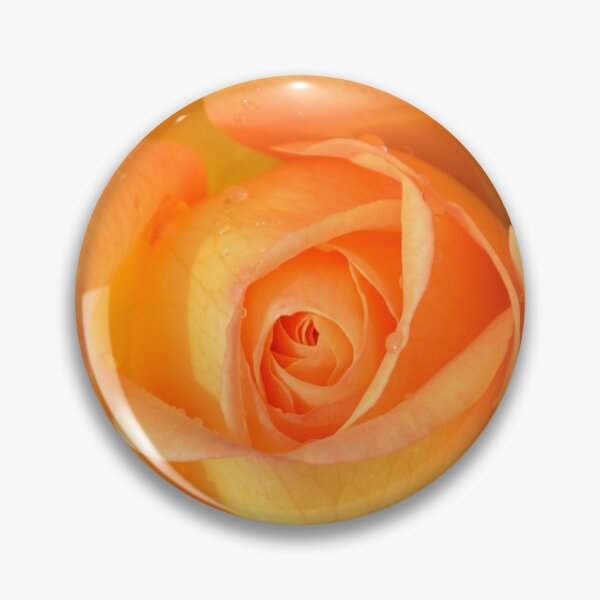 Item preview, Spring Time Rose Yellow Orange in Bloom designed and sold by ZanyPaintbrush.