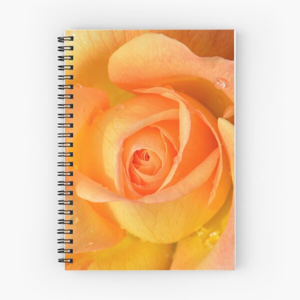 Item preview, Spring Time Rose Yellow Orange in Bloom designed and sold by ZanyPaintbrush.