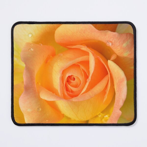 Item preview, Spring Time Rose Yellow Orange in Bloom designed and sold by ZanyPaintbrush.