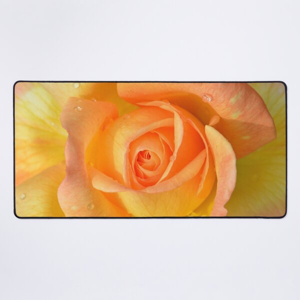 Item preview, Spring Time Rose Yellow Orange in Bloom designed and sold by ZanyPaintbrush.