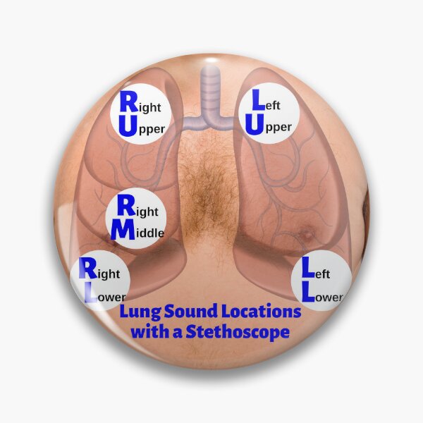 Item preview, Lung Sound Locations with a Stethoscope designed and sold by Caregiverology.