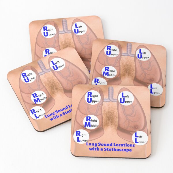 Item preview, Lung Sound Locations with a Stethoscope designed and sold by Caregiverology.