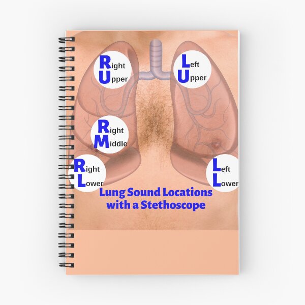 Item preview, Lung Sound Locations with a Stethoscope designed and sold by Caregiverology.