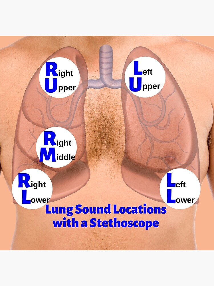 Lung Sound Locations with a Stethoscope | Art Board Print