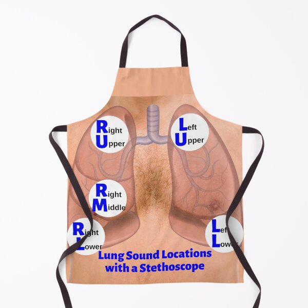 Item preview, Lung Sound Locations with a Stethoscope designed and sold by Caregiverology.