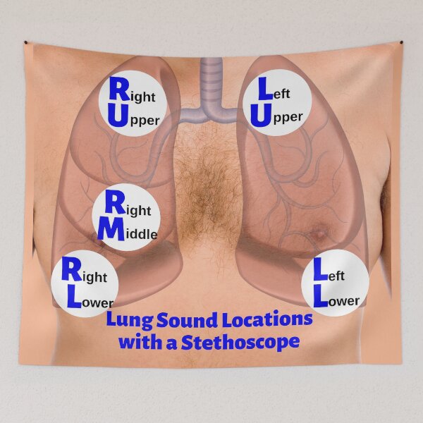 Item preview, Lung Sound Locations with a Stethoscope designed and sold by Caregiverology.