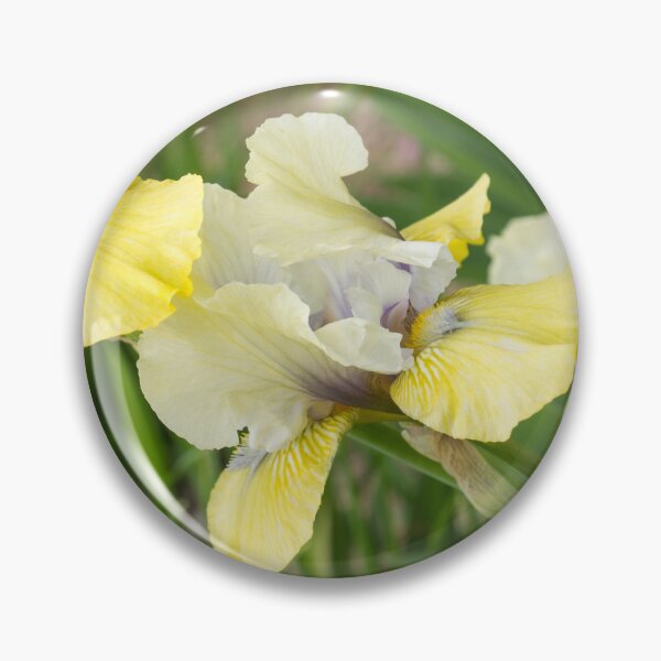 Item preview, Multicolored German Irises in Bloom - A Garden for Vincent Van Gogh designed and sold by Georgia Mizuleva.