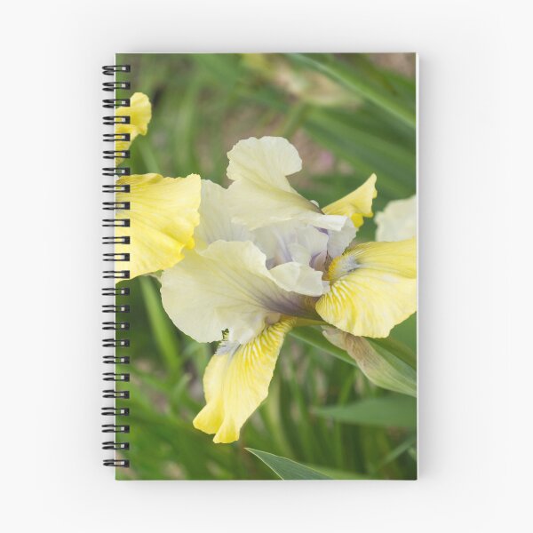 Item preview, Multicolored German Irises in Bloom - A Garden for Vincent Van Gogh designed and sold by Georgia Mizuleva.