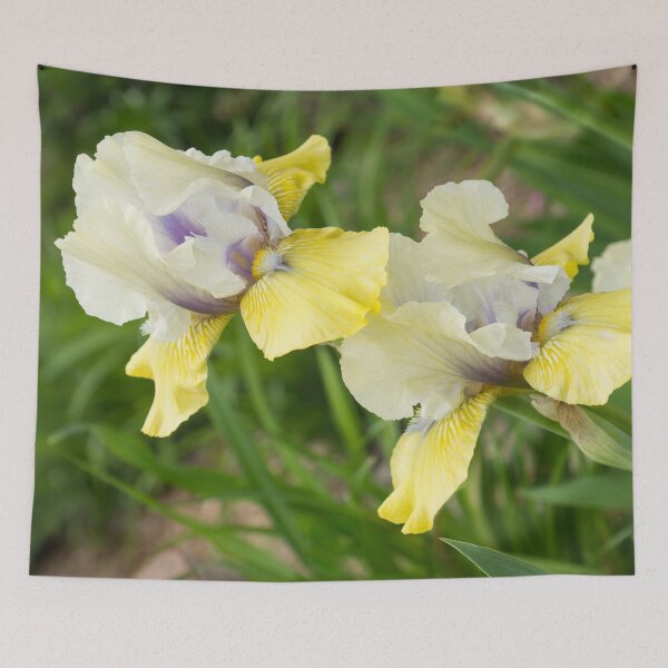 Item preview, Multicolored German Irises in Bloom - A Garden for Vincent Van Gogh designed and sold by Georgia Mizuleva.