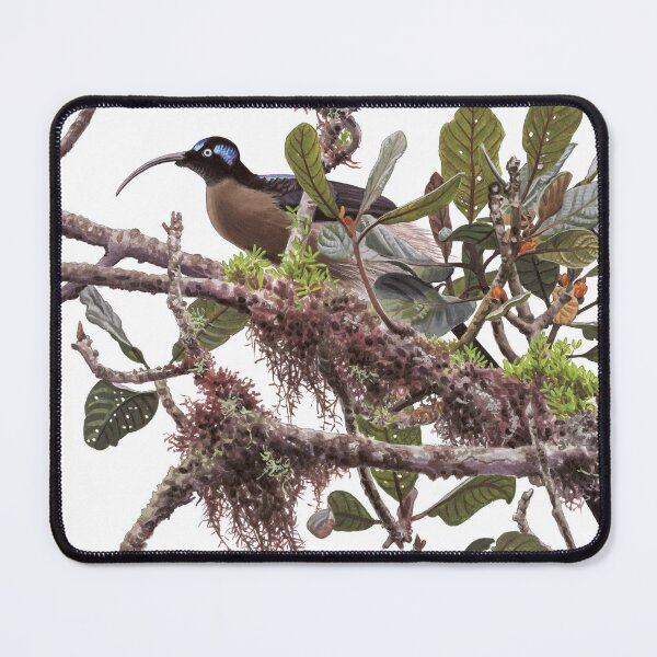 Item preview, Brown Sicklebill designed and sold by kokayart.