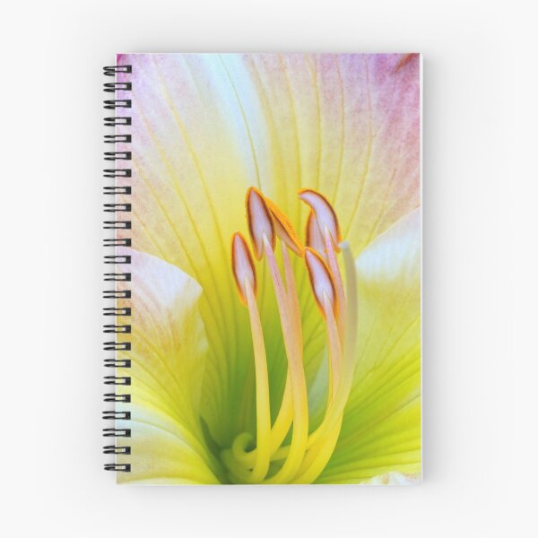 Item preview, Alluring designed and sold by Kathilee.