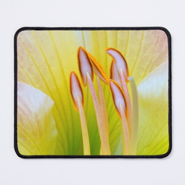 Item preview, Alluring designed and sold by Kathilee.