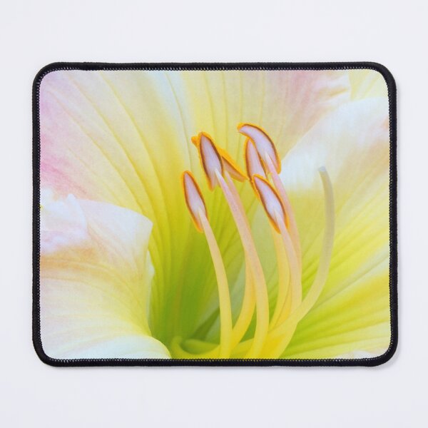 Item preview, Forever Lily designed and sold by Kathilee.